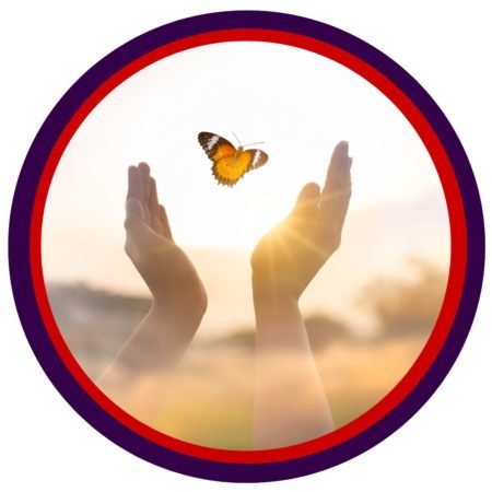 Ontwerp zonder titel (19) Ontwerp zonder titel (19)